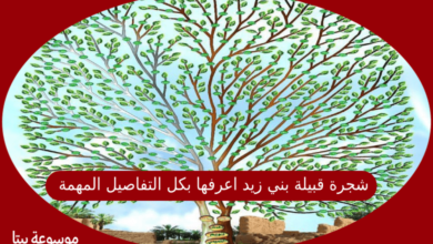 صورة شجرة قبيلة بني زيد اعرفها بكل التفاصيل المهمة وما هو اصلهم