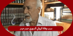 سبب وفاة الروائي السوري حيدر حيدر 