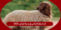 كم اسعار الاضاحي في مدينة الرياض 2023