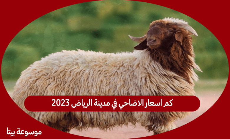 كم اسعار الاضاحي في مدينة الرياض 2023