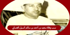 سبب وفاة سعيد بن أحمد الغساني