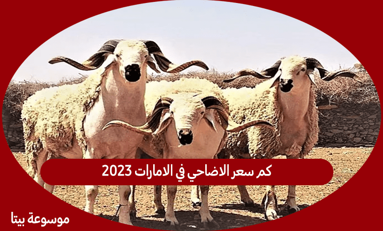 كم سعر الاضاحي في الامارات 2023