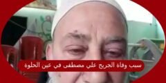 سبب وفاة الجريح علي مصطفى في عين الحلوة