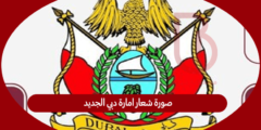 صورة شعار امارة دبي الجديد